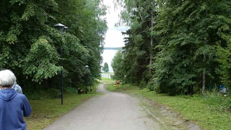 Летний оздоровительный лагерь ЗОЖ 