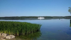 Летний оздоровительный лагерь ЗОЖ 